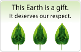 Eco-Friendly Seating